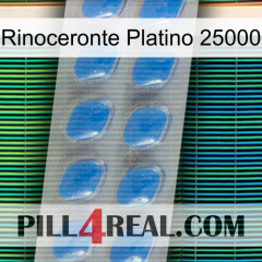 Platinum Rhino 25000 22